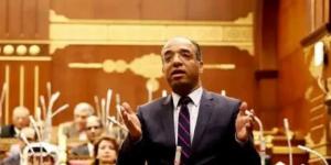 النائب علي مهران: الدبلوماسية المصرية نموذج مسئول في دعم السلام العالمي خلال 2025