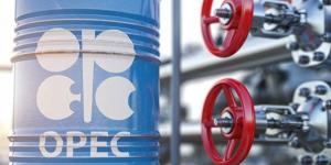 جددت التزامها باستقرار السوق.. «أوبك +» تؤكد تعليق زيادات فبراير ومارس