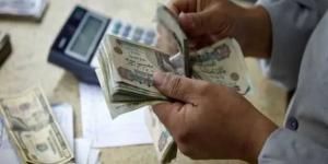 عائد يصل إلى 37.50%.. أفضل شهادة بعائد مدفوع مقدماً بعد قرار المركزي الأخير