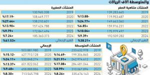 41.6% نموا بفائض تشغيل المنشآت الصغيرة والمتوسطة