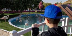 «رياض زوو» توفر بيئات وتجارب آمنة مخصصة للأطفال