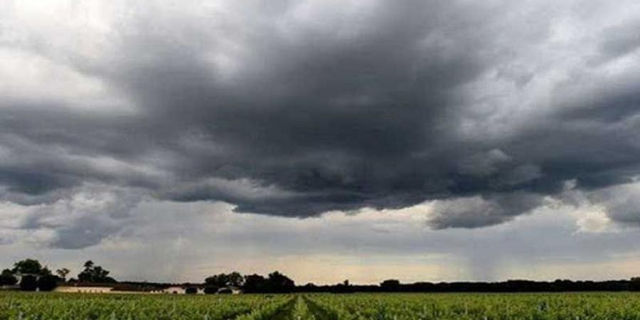 طقس اليوم.. الحرارة في انخفاض طفيف