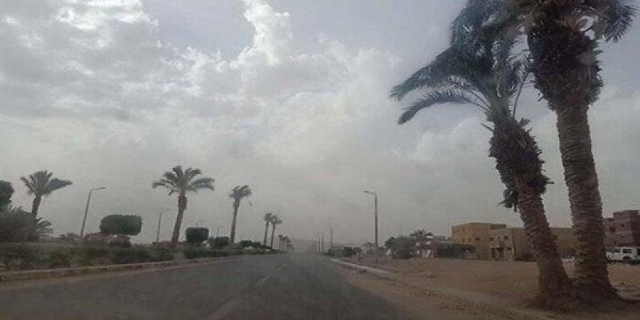 طقس شديد البرودة.. تفاصيل حالة الطقس الثلاثاء 6 يناير 2026