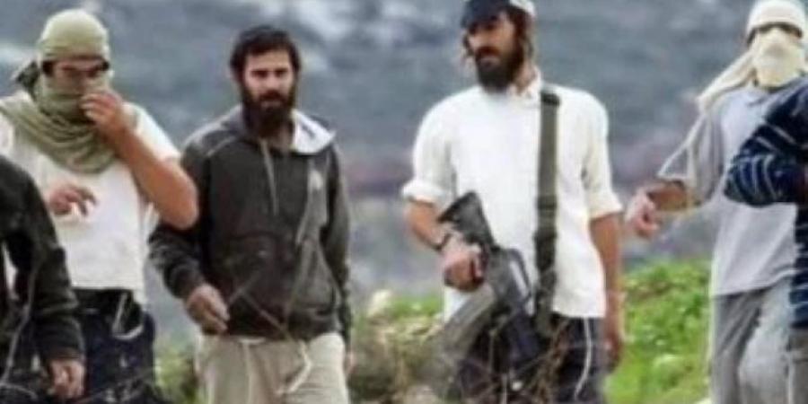 إصابة طفل ومسن في اعتداء للمستوطنين شرق بيت لحم بفلسطين