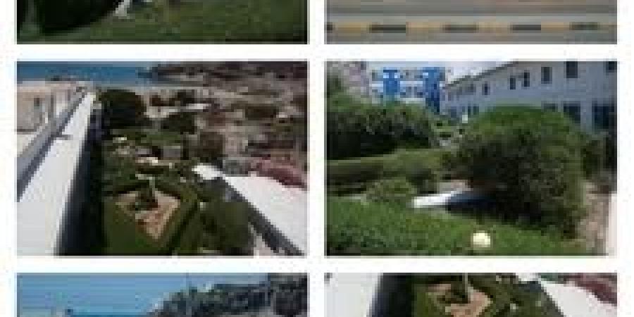 استغاثة عاجلة من عدن: أسرة ‘‘الرهيدي’’ تطالب بإنصافها واستعادة مجمع سياحي بقيمة 7 ملايين دولار ‘‘يستولي’’ عليه الزُبيدي منذ 10 سنوات